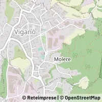Karte Viganò