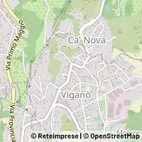 Karta Viganò