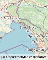 Articoli Sportivi - Dettaglio Monrupino,34016Trieste