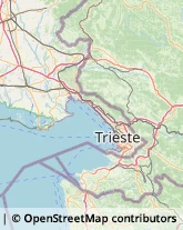 Articoli Sportivi - Dettaglio Duino-Aurisina,34011Trieste