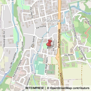 Mappa Via degli alpini, 24030 Paladina, Bergamo (Lombardia)