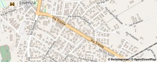 Mappa Santo Stino di Livenza