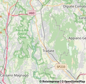 Mappa 21040 Castiglione Olona VA, Italia (5.7895)