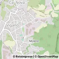 Karte Viganò