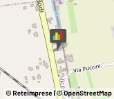 Abbigliamento,36028Vicenza