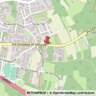 Mappa Via Giuseppe di Vittorio, 76, 21029 Vergiate, Varese (Lombardia)