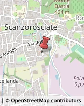 Via Gorizia, 13,24020Scanzorosciate