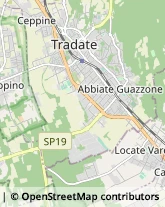 Macellerie Tradate,21049Varese