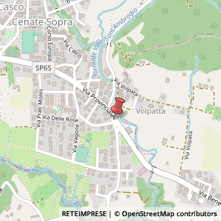 Mappa Via Provinciale,  8, 24060 Cenate Sopra, Bergamo (Lombardia)