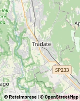 Pratiche Automobilistiche Locate Varesino,22070Como