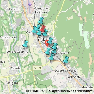 Mappa Via Chiesa Damiano, 21049 Tradate VA, Italia (1.30846)