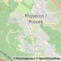 Kart Trieste