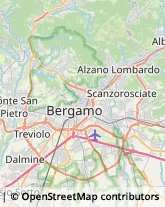 Agenzie di Animazione e Spettacolo Curno,24035Bergamo