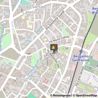 Energia Elettrica - Societa di Produzione Bergamo,24125Bergamo