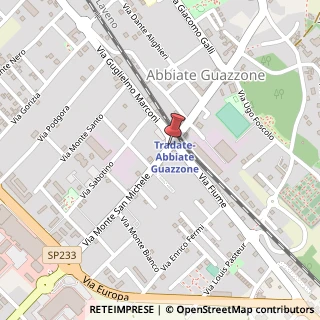 Mappa Via Monte San Michele,  4, 39057 Tradate, Varese (Lombardia)