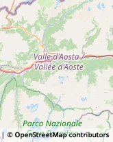 Consulenze Speciali Aosta,11100Aosta