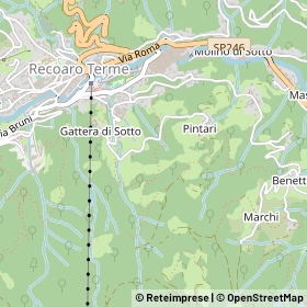 Mappa 36076