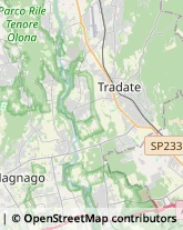 Istituti di Bellezza Locate Varesino,22070Como