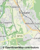 Legna da ardere Tradate,21049Varese