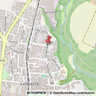 Mappa Via Bernardino Luini,  9, 22074 Lomazzo, Como (Lombardia)