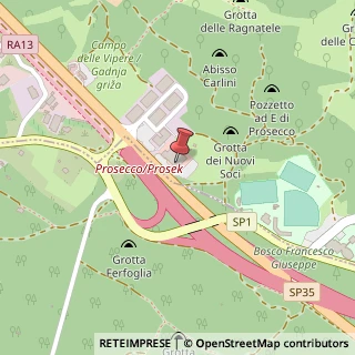 Mappa Via Stazione di Prosecco, 13, 34010 Sgonico, Trieste (Friuli-Venezia Giulia)