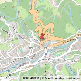 Mappa Piazza Vittorio Veneto, 16, 36076 Recoaro Terme, Vicenza (Veneto)