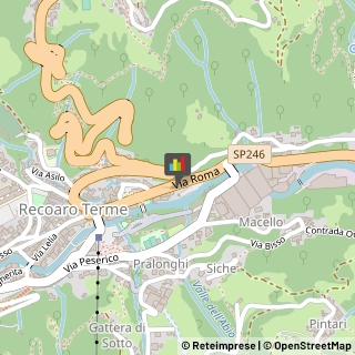 Autolinee Recoaro Terme,36076Vicenza