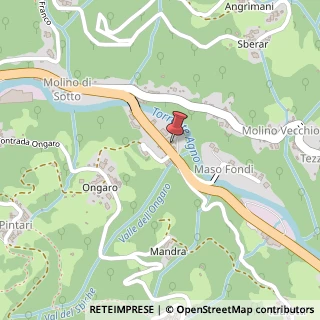 Mappa Via Ponte Verde, 21B, 36076 Recoaro Terme, Vicenza (Veneto)