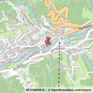 Mappa Via Lelia, 51, 36076 Recoaro Terme, Vicenza (Veneto)