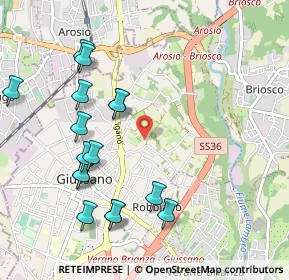 Mappa Cascina Lazzaretto, 20034 Giussano MB, Italia (1.1)