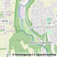 Map Lonate Ceppino