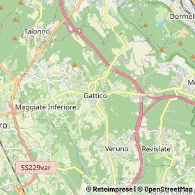Mappa Gattico