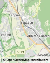 Autofficine e Centri Assistenza Tradate,21049Varese