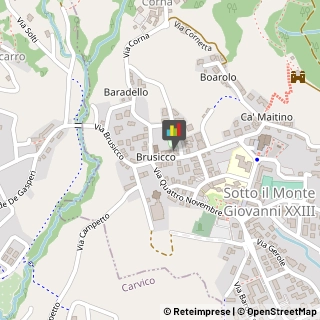 Borse - Dettaglio Sotto il Monte Giovanni XXIII,24039Bergamo