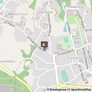 Animali Domestici - Toeletta Carvico,24030Bergamo