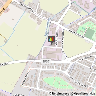 Gas, Metano e Gpl in Bombole e per Serbatoi - Dettaglio,24020Bergamo