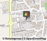 Agenti e Rappresentanti di Commercio,22070Como