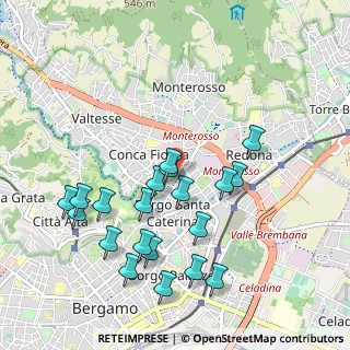 Mappa Viale Giulio Cesare, 24124 Bergamo BG, Italia (1.011)