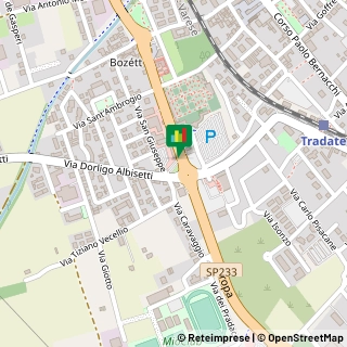 Mappa Via Bruno Passerini, 16, 21049 Tradate, Varese (Lombardia)