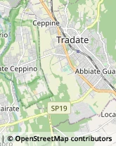 Sartorie Tradate,21049Varese