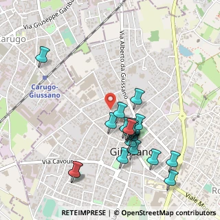 Mappa Viale Piave, 20833 Giussano MB, Italia (0.495)