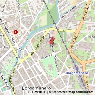 Mappa Viale Libertà, 23, 28021 Borgomanero, Novara (Piemonte)