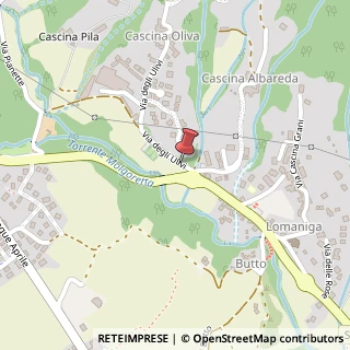 Mappa Via ulivi 3, 23873 Missaglia, Lecco (Lombardia)