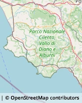 Analisi Cliniche - Medici Specialisti Vallo della Lucania,84078Salerno