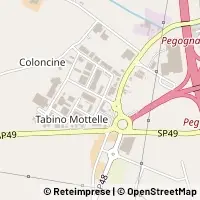 Map Pegognaga