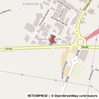 Mappa Strada Provinciale Ovest, 38, 46020 Pegognaga, Mantova (Lombardia)