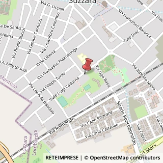 Mappa Via Luigi Cadorna, 3A, 46029 Suzzara, Mantova (Lombardia)