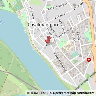 Mappa Via Vaghi, 13, 26041 Casalmaggiore, Cremona (Lombardia)