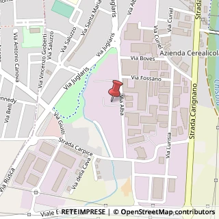 Mappa Via Alba, 15, 10024 Moncalieri, Torino (Piemonte)