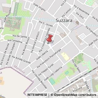 Mappa Piazza repubblica 1/b, 46029 Luzzara, Mantova (Lombardia)